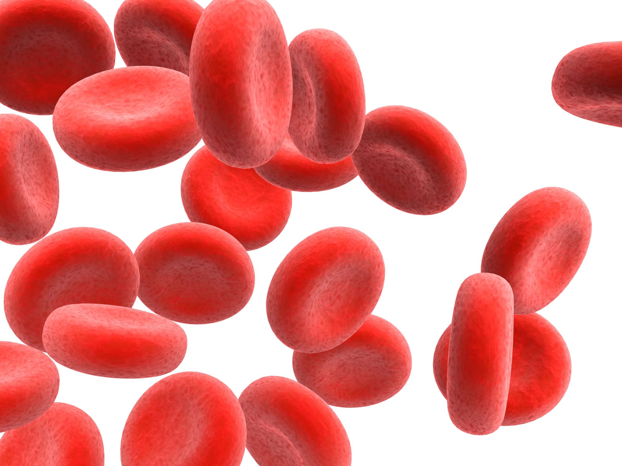 cervene krvinky